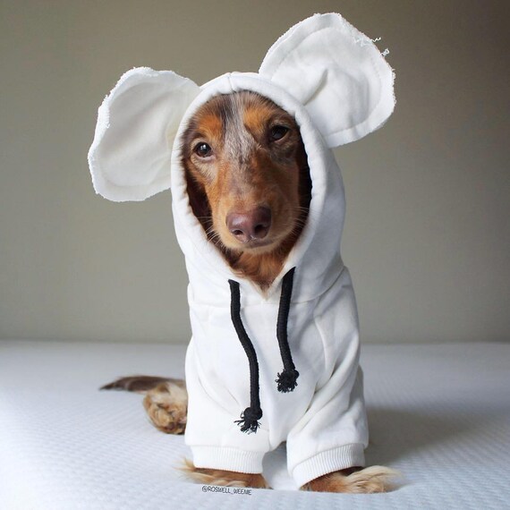 dog hoodie with ears