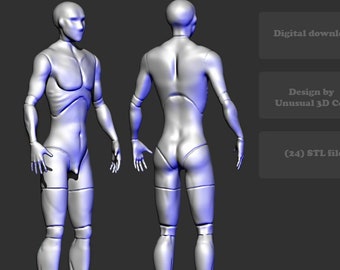 3D model of the male body. for further work and cutting BJD doll. STL OBJ format