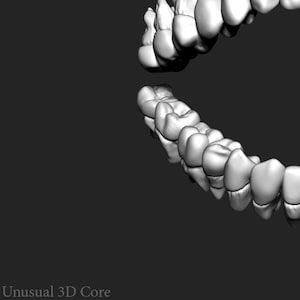 Puede incluir: Un modelo 3D de una boca humana con dientes, disponible para descargar digitalmente en formato STL. El modelo consta de 33 archivos. STL, Descarga digital, 33 archivos.