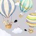 see more listings in the Hot Air Balloons section