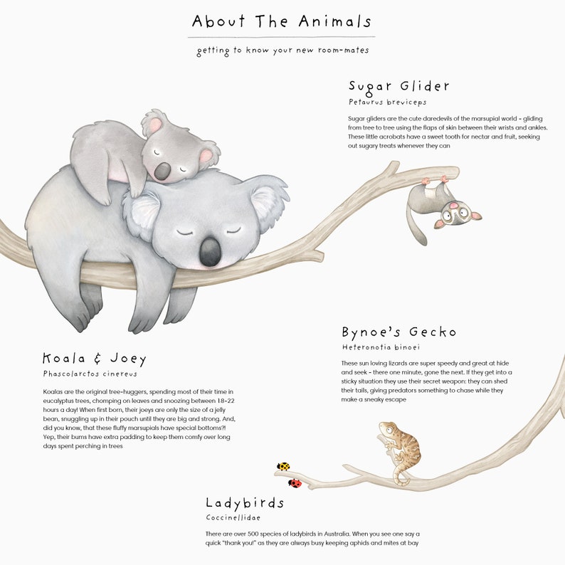 May include: An illustrated guide to Australian animals, featuring a koala and joey sleeping in a tree, a sugar glider, a Bynoe's gecko, and ladybugs. The text includes the scientific names and fun facts about each animal.