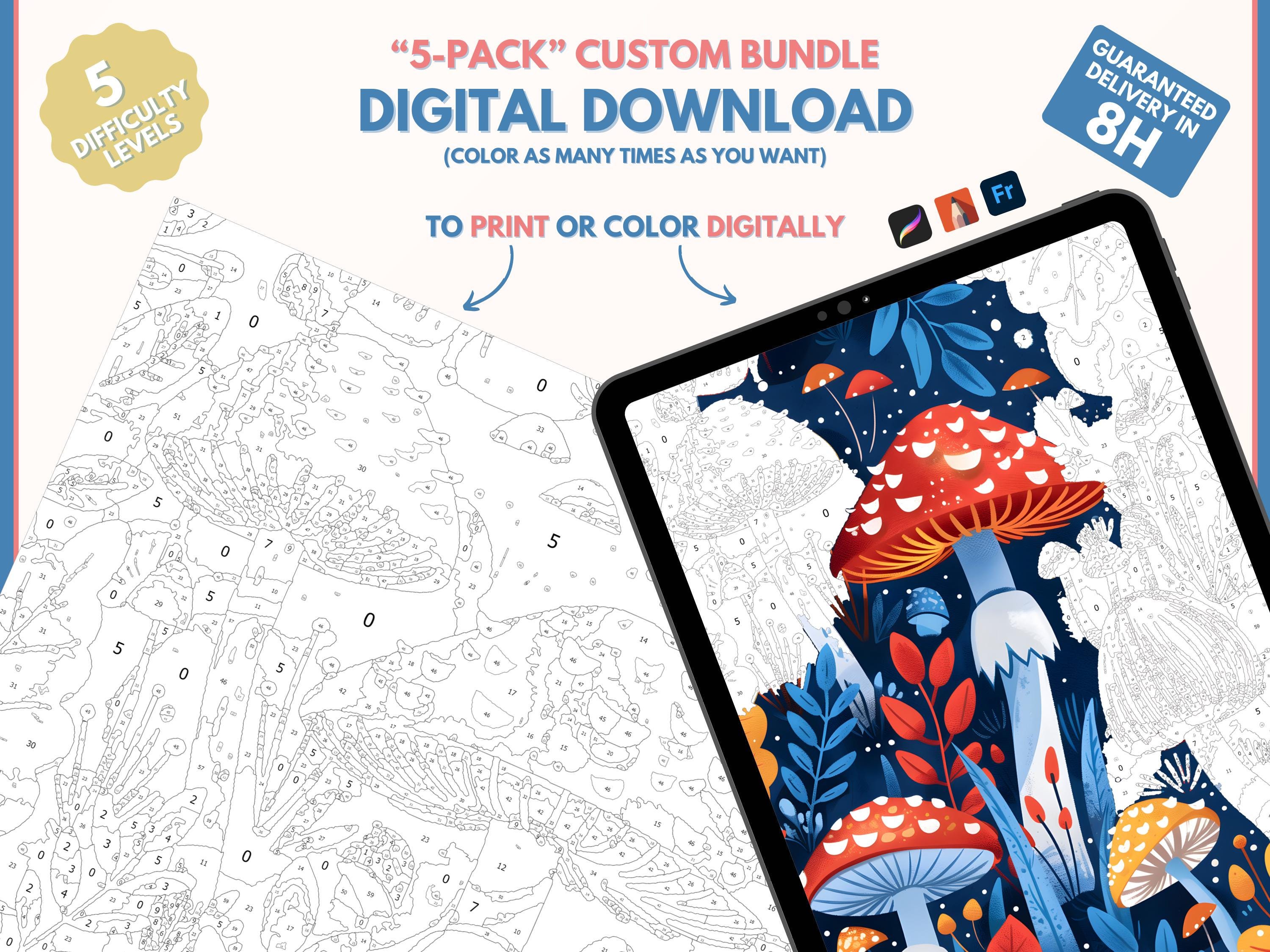 5 X Color by Numbers for Adults Custom Bundle / Printable Paint by ...