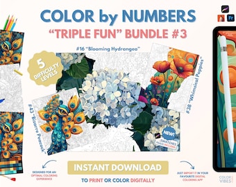 3 x Couleur par numéros pour adultes Bundle / Peinture imprimable par numéros / Pages de coloriage numériques téléchargeables / Procréer / Ipad / Art-thérapie