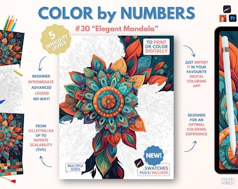 Couleur par numéros pour adultes « Mandala élégant » / Peinture imprimable par numéros / Pages de coloriage numériques / Procréer / Ipad / Art-thérapie