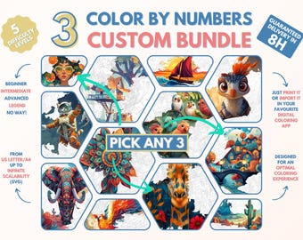 3 x Couleur par numéros pour adultes Custom Bundle / Peinture imprimable par numéros / Pages de coloriage téléchargeables / Procréer / Ipad / Art-thérapie