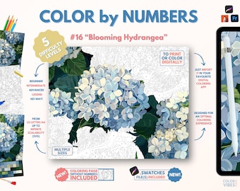 Couleur par numéros pour adultes « Hortensia en fleurs » / Peinture imprimable par numéros / Pages de coloriage numériques / Procréer / Ipad / Art-thérapie