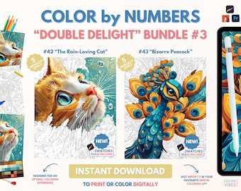2 x Couleur par numéros pour adultes Bundle / Peinture imprimable par numéros / Pages de coloriage numériques téléchargeables / Procréer / Ipad / Art-thérapie