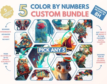5 x Couleur par numéros pour adultes Custom Bundle / Peinture imprimable par numéros / Pages de coloriage téléchargeables / Procréer / Ipad / Art-thérapie