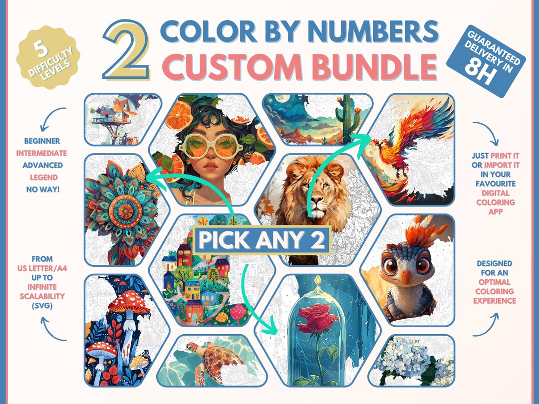 2 X Color by Numbers for Adults Custom Bundle / Printable Paint by ...