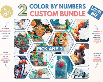 2 x Couleur par numéros pour adultes Custom Bundle / Peinture imprimable par numéros / Pages de coloriage téléchargeables / Procréer / Ipad / Art-thérapie