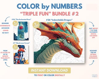3 x Couleur par numéros pour adultes Bundle / Peinture imprimable par numéros / Pages de coloriage numériques téléchargeables / Procréer / Ipad / Art-thérapie