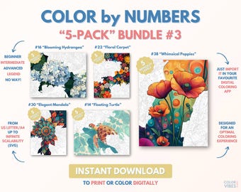 5 x Couleur par numéros pour adultes Bundle / Peinture imprimable par numéros / Pages de coloriage numériques téléchargeables / Procréer / Ipad / Art-thérapie