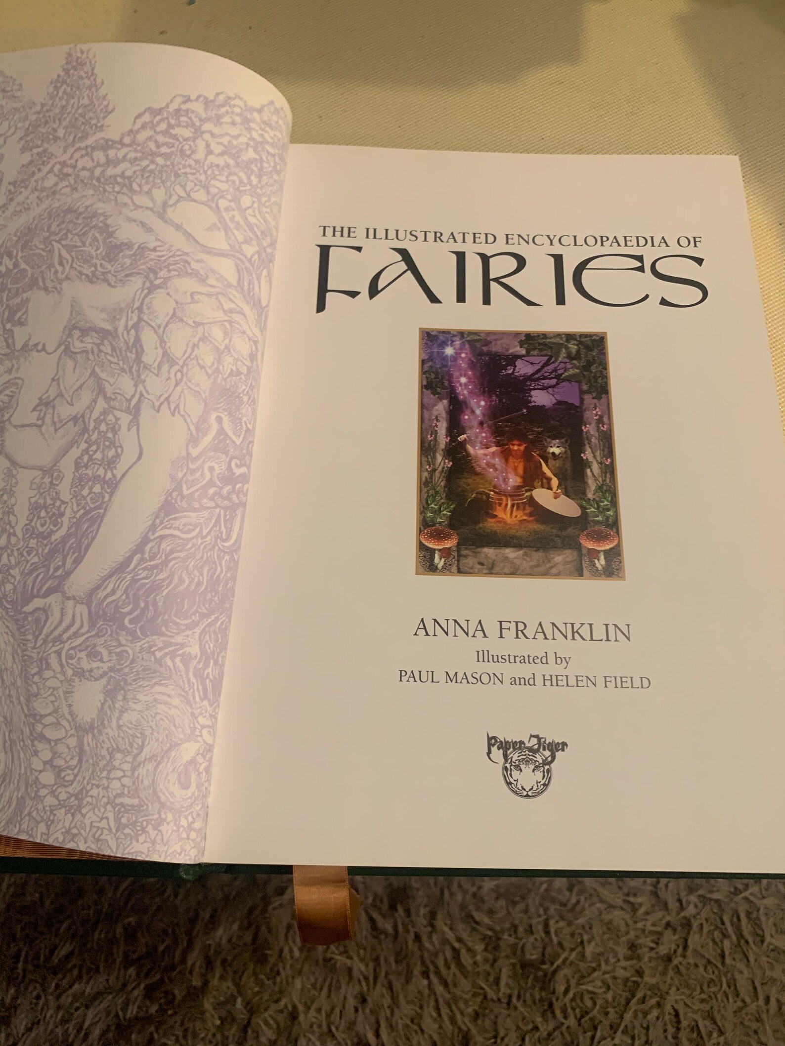 The Illustrated Encyclopedia of Fairies Etsy