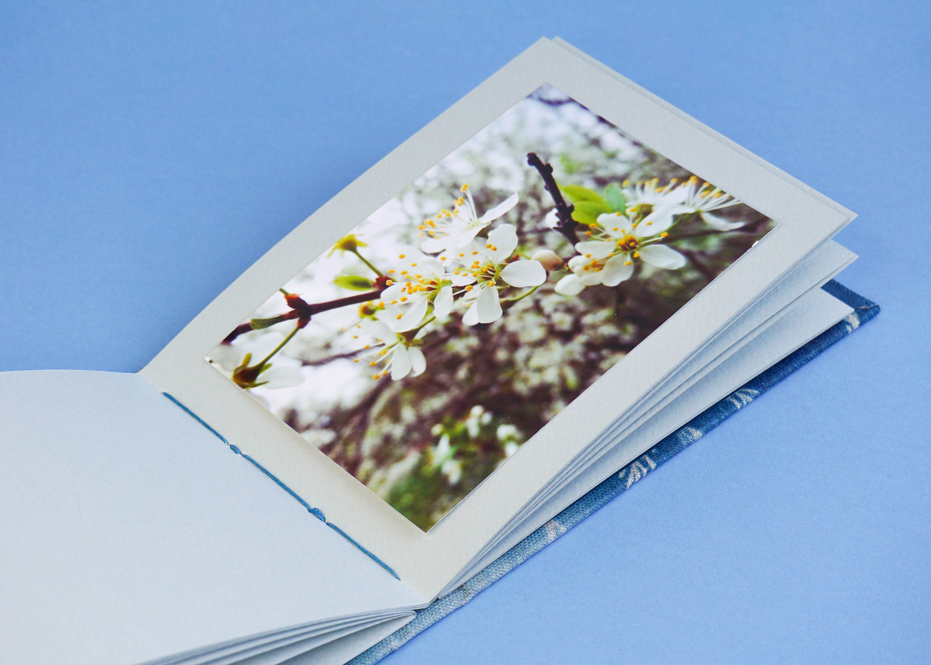 Portrait and Landscape Albums for 10x15 Photos with Cyanotyped Etsy