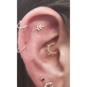 14k solid gold FLAT left ear Leave