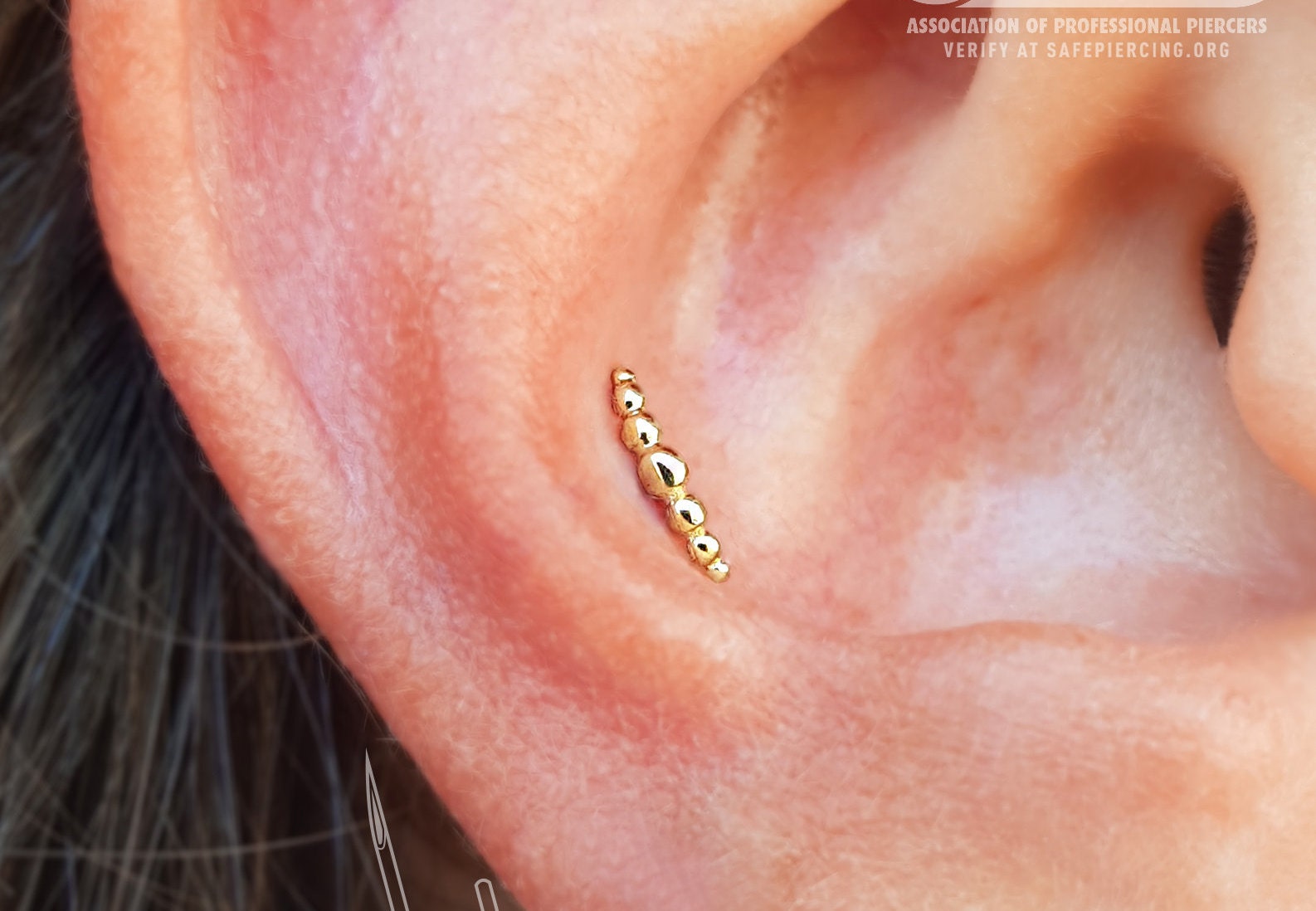 14k or Massif Seamless Anneau Hoop Conque Helix Daith Piercing/Gold Body Jewelry 14k or Massif Seamless Anneau Hoop Conque Helix Daith Piercing/Gold Body Jewelry