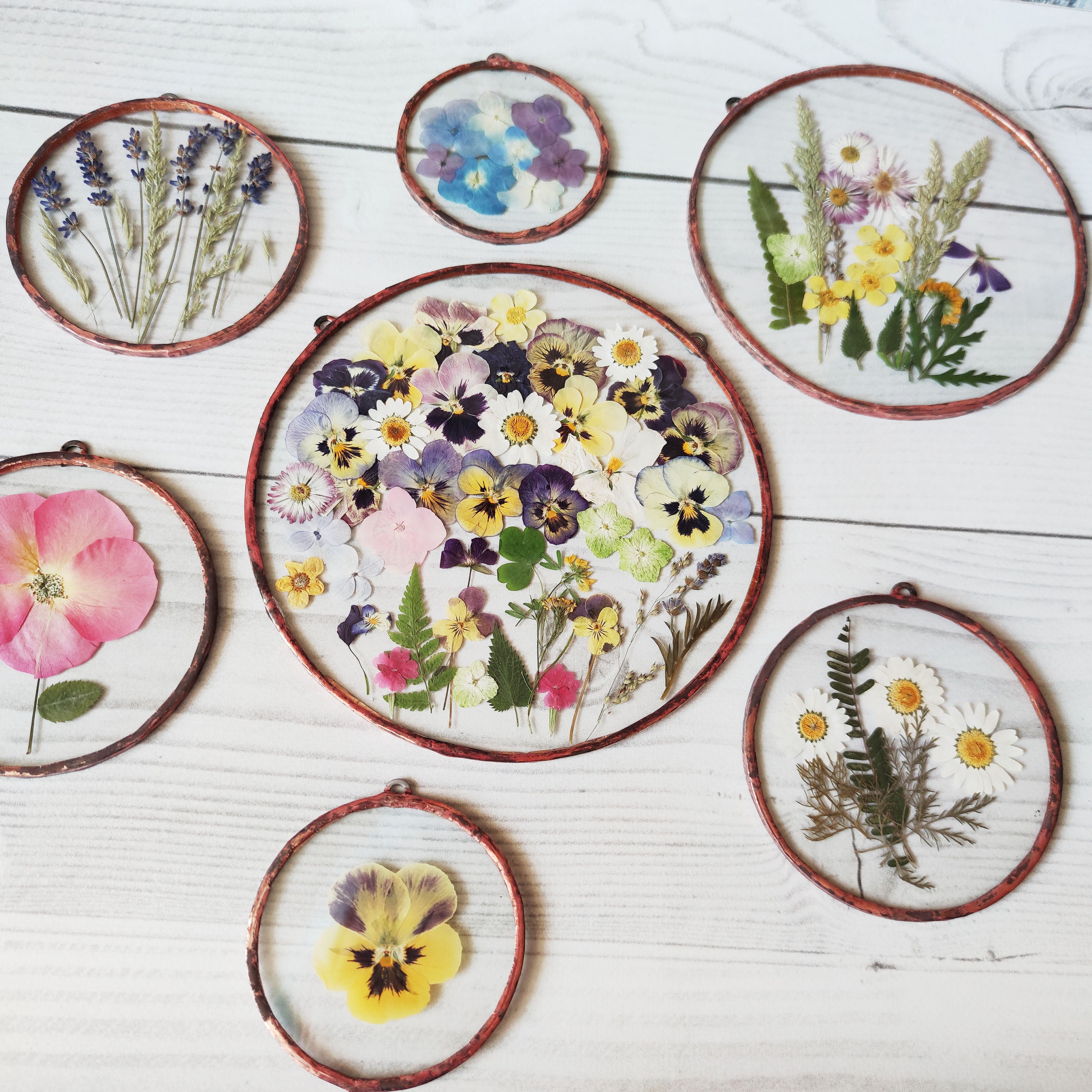 Set of 7 pressed flower stained glass pressed flowers framed Etsy