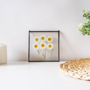 Daisy Wall Art Framed Floral Wall Art Pressed Daisy Floral mothers day gift Chamomile Wall Art Hanging Floral Decor Boho mothers gift &060 image 3