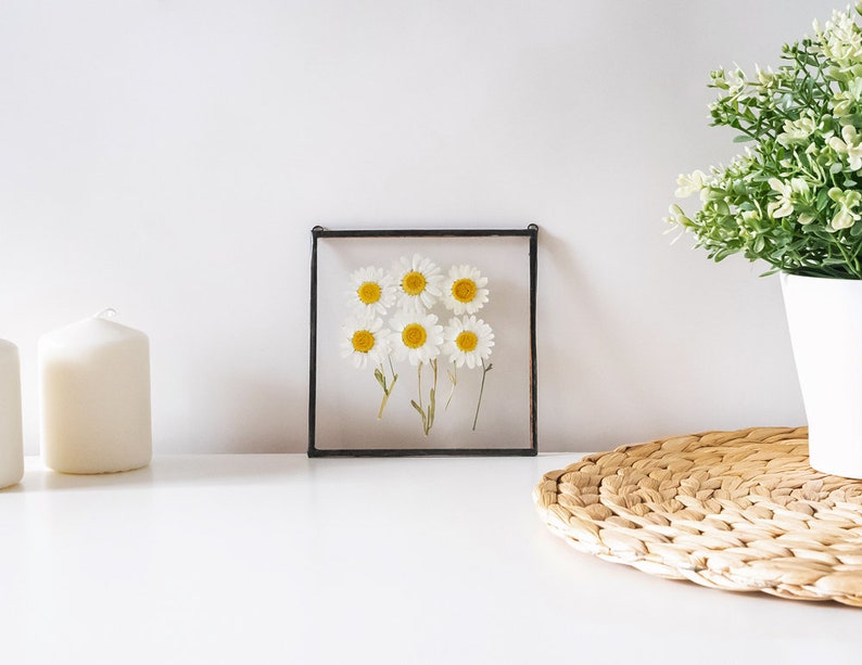 Daisy Wall Art Framed Floral Wall Art Pressed Daisy Floral mothers day gift Chamomile Wall Art Hanging Floral Decor Boho mothers gift &060 image 3