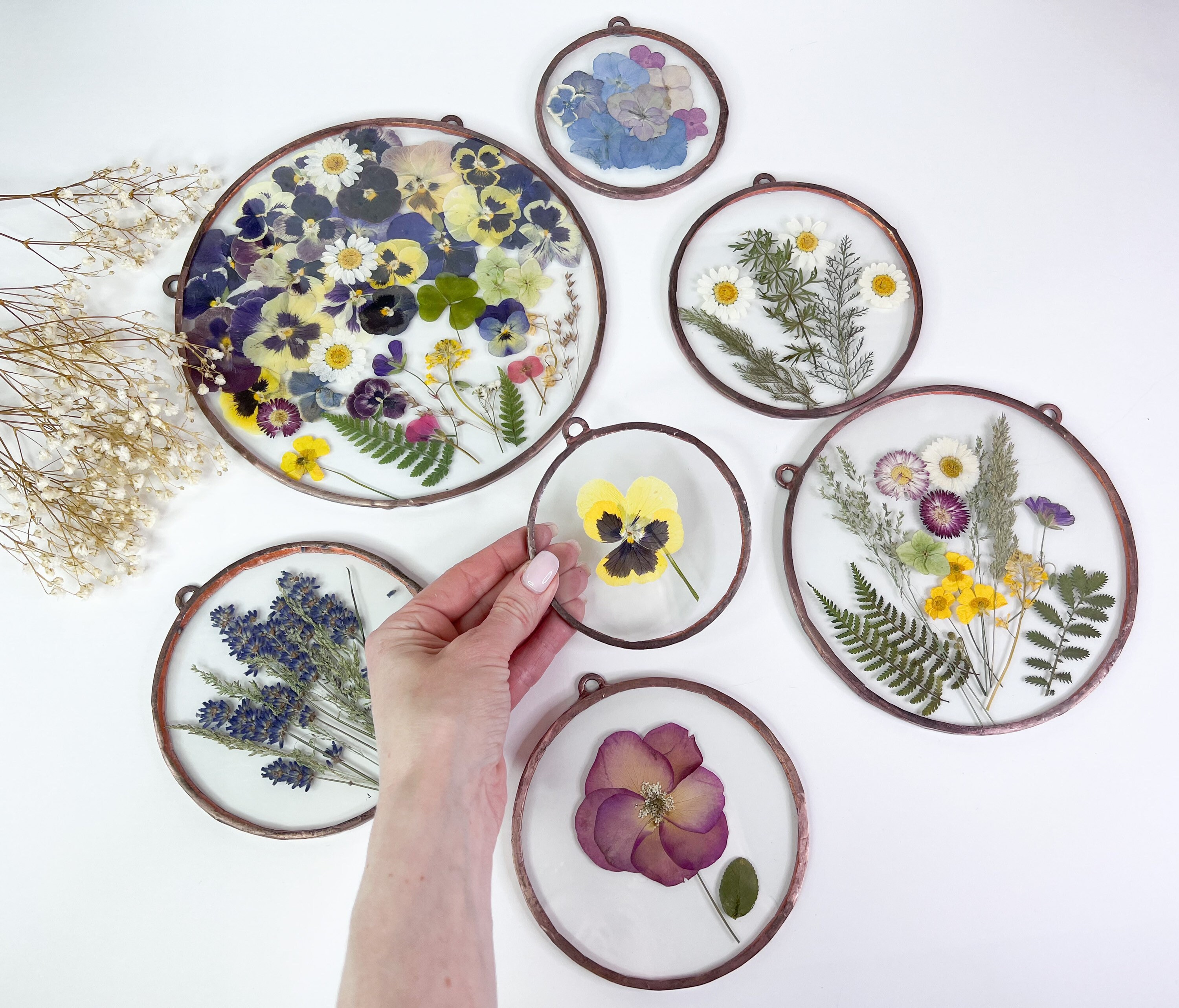 Set of 7 Pressed Flower Stained Glass Pressed Flowers Framed Etsy