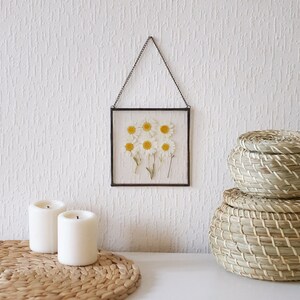 Daisy Wall Art Framed Floral Wall Art Pressed Daisy Floral mothers day gift Chamomile Wall Art Hanging Floral Decor Boho mothers gift &060 image 4