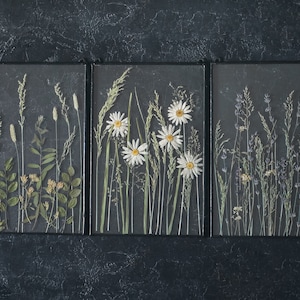 Framed wall art set of 3 pressed flower frame hanging floral décor 812 inches &160 image 2