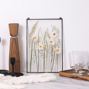 Pressed flower wall art christmas decor Gift for her Flower art Wall décor Floral artwork Chamomel Daisy Pressed flower glass  &184