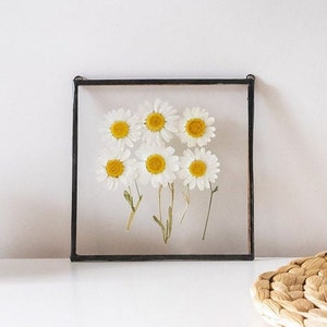 Daisy Wall Art Framed Floral Wall Art Pressed Daisy Floral mothers day gift Chamomile Wall Art Hanging Floral Decor Boho mothers gift &060 image 1