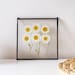see more listings in the Small pressed flower art section