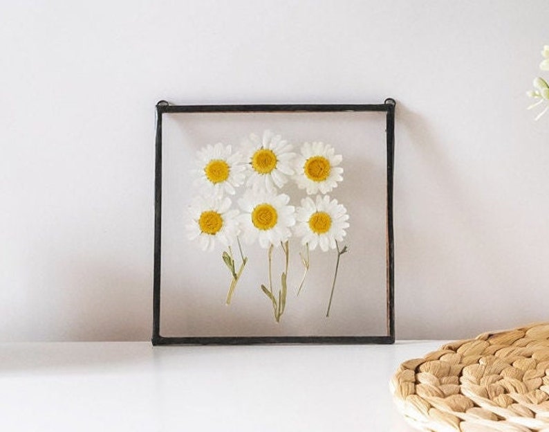 Daisy Wall Art Framed Floral Wall Art Pressed Daisy Floral mothers day gift Chamomile Wall Art Hanging Floral Decor Boho mothers gift &060 image 1