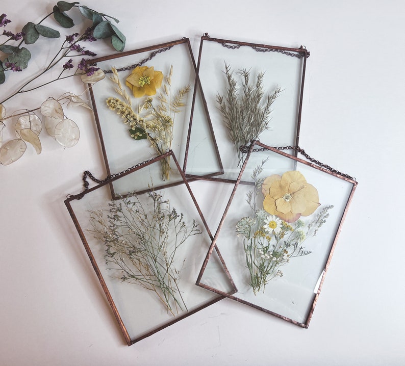 Herbarium Set of 4 Pressed Flower Frame Botanical Art Collage Etsy