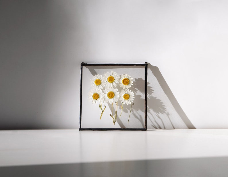 Daisy Wall Art Framed Floral Wall Art Pressed Daisy Floral mothers day gift Chamomile Wall Art Hanging Floral Decor Boho mothers gift &060 image 2