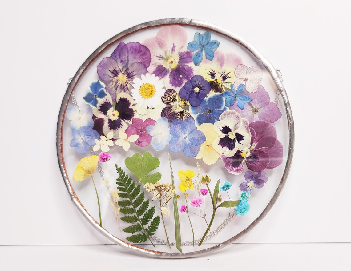 Pressed Flowers Wall Decor Gallery Wall Hanging Plants Dry Etsy
