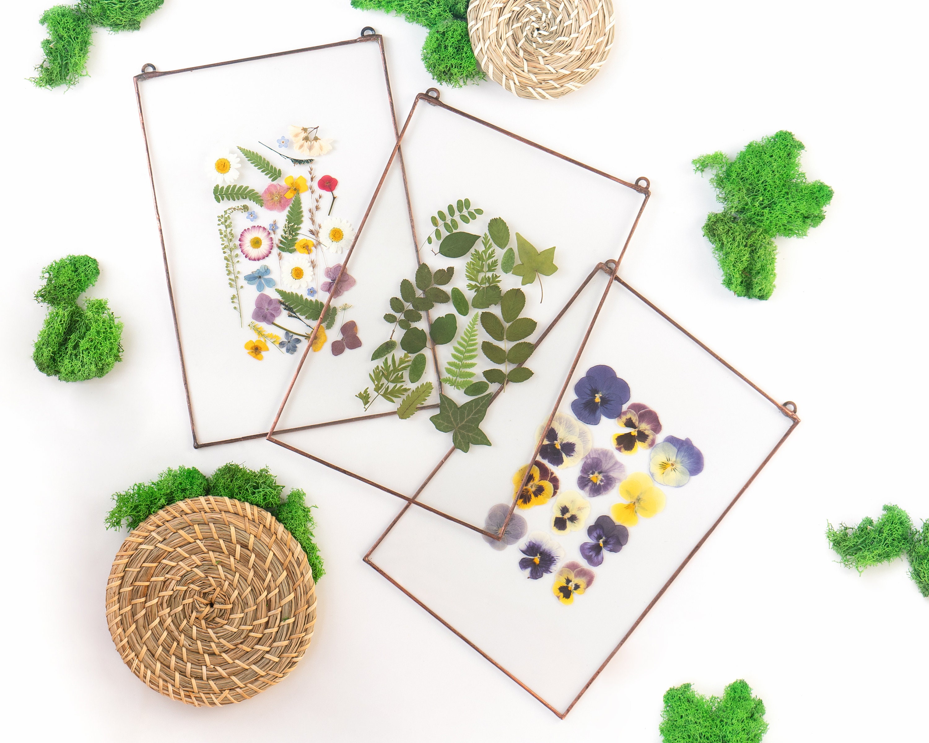 Wall art set of 3 modern wall art pressed flower art gift for Etsy