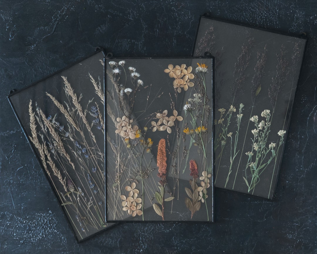 Framed Dried Flowers Set of 3 Wall Art Framed Floral Gifts for Etsy
