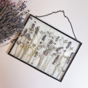 Pressed flower art, dried lavender, pressed flower in frame, gifts for women, best friend gift, botanical art, nursery wall decor &305