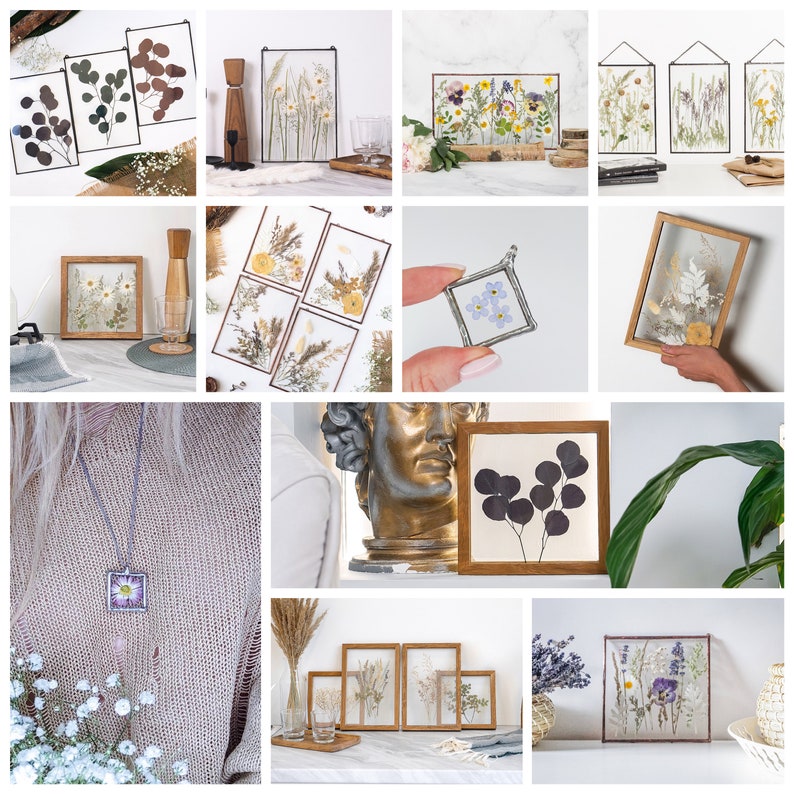 Pressed Flowers Wall Decor Gallery Wall Hanging Plants Dry Etsy