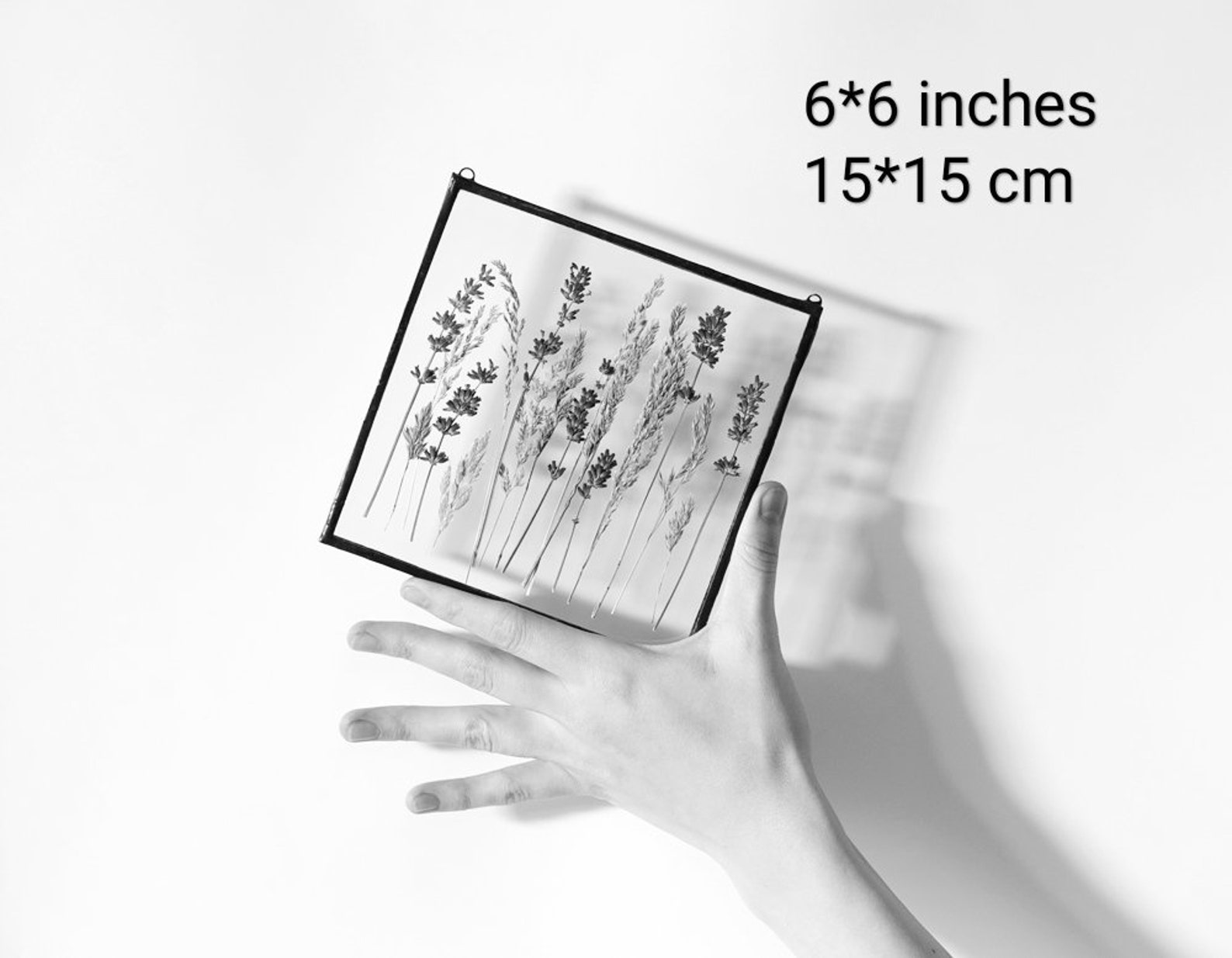 Pressed Flower Art Pressed Flowers in Glass Real Pressed Etsy