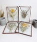 Herbarium set of 4 pressed flower frame botanical art collage beige flower wall panel 6*8 inches &020 