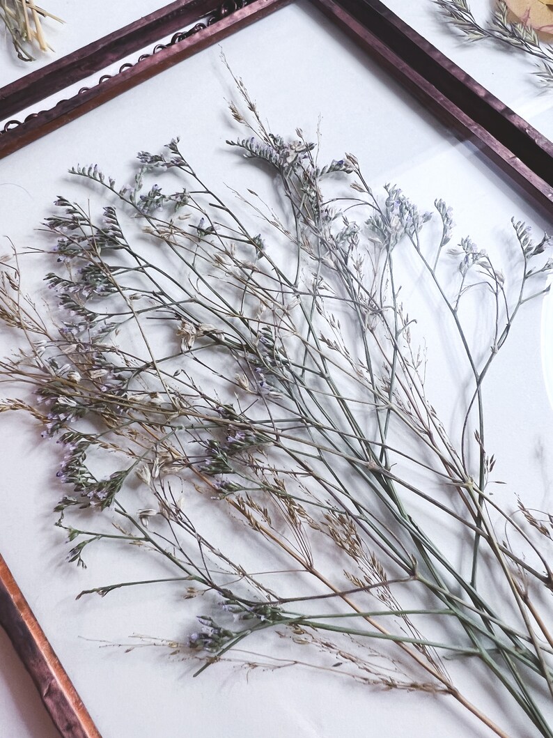 Herbarium Set of 4 Pressed Flower Frame Botanical Art Collage Etsy UK