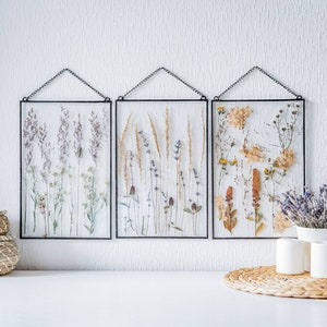 Set of 3 designer wall art, farmhouse wall decor, herbarium pressed plants, pressed flower frame &117