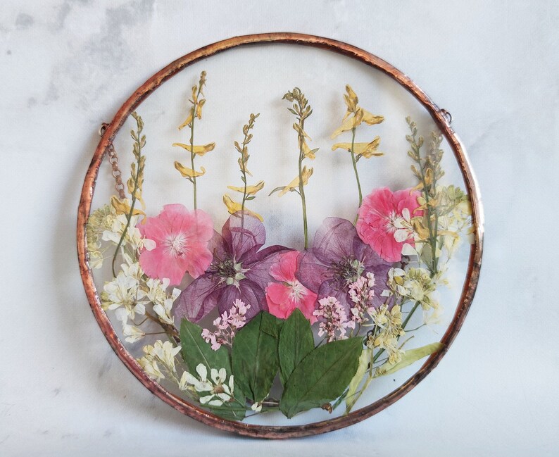 Pressed Pink Flower Frame With Apple Flower Glass Picture Etsy