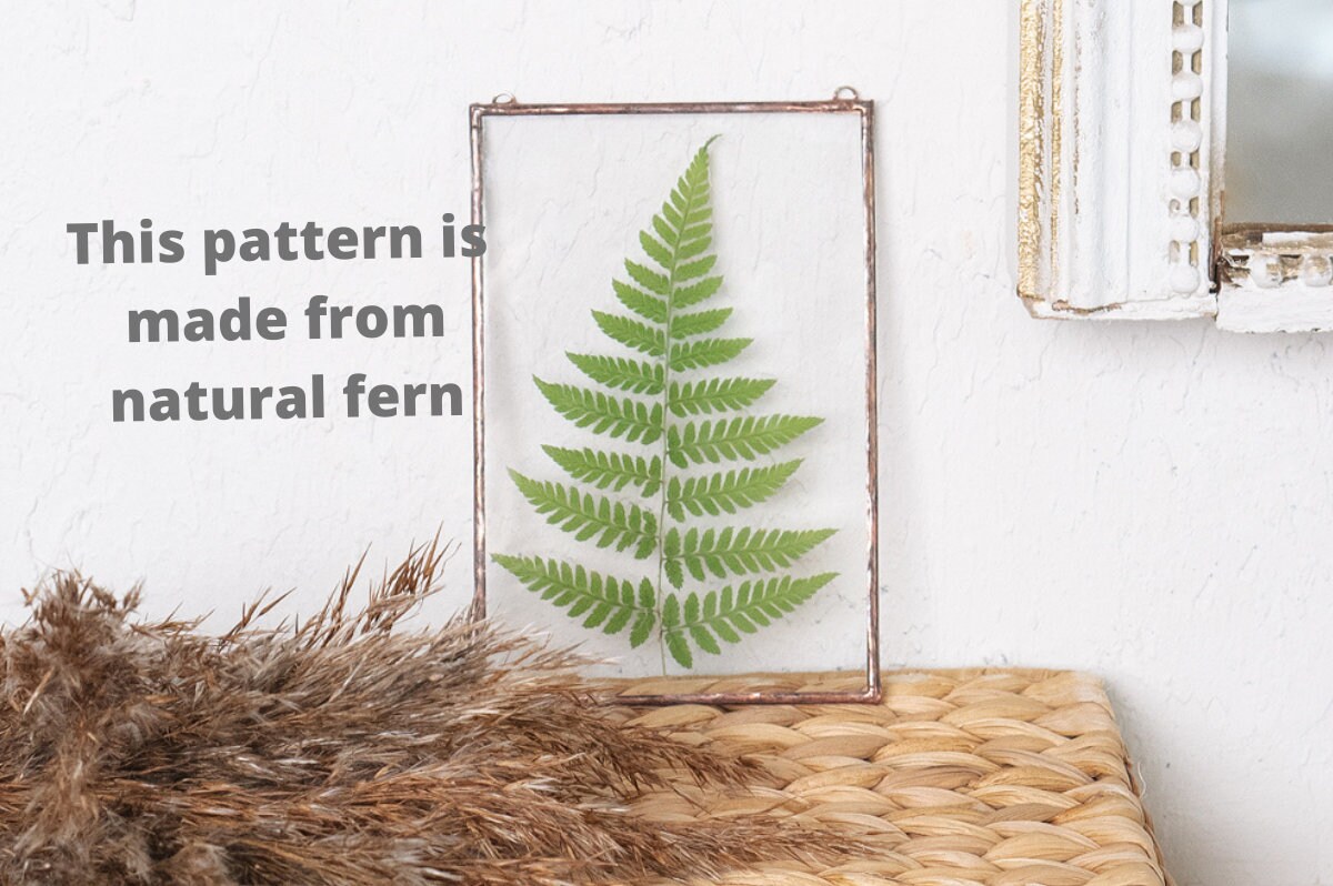 Embroidery pattern fern beginner pattern pdf herbarium 58 | Etsy