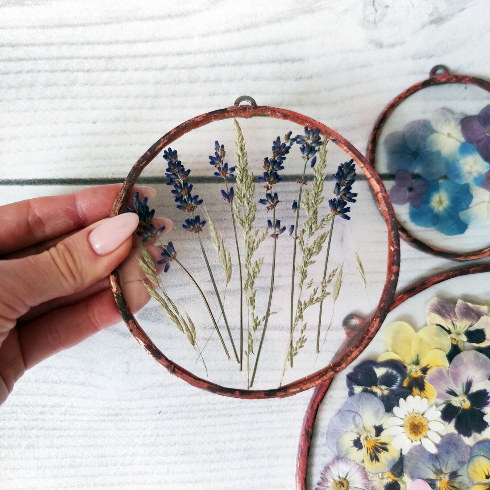 Set of 7 pressed flower stained glass pressed flowers framed Etsy