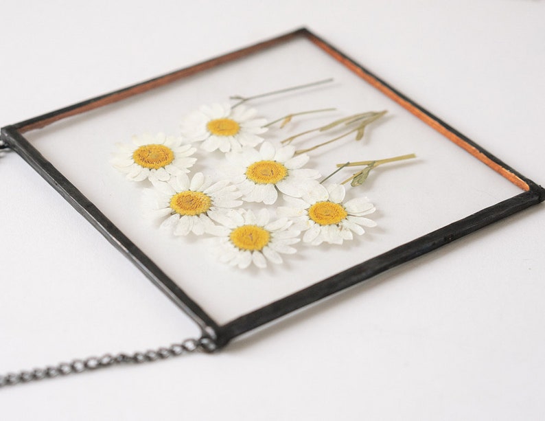 Daisy Wall Art Framed Floral Wall Art Pressed Daisy Floral mothers day gift Chamomile Wall Art Hanging Floral Decor Boho mothers gift &060 image 7