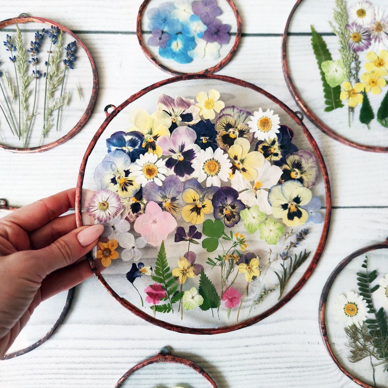Set of 7 pressed flower stained glass pressed flowers framed Etsy