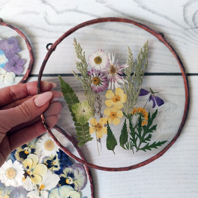 Set of 7 pressed flower stained glass pressed flowers framed Etsy