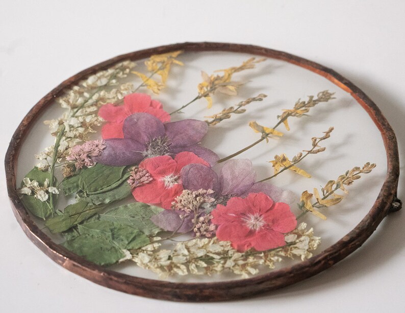 Pressed Pink Flower Frame With Apple Flower Glass Picture Etsy