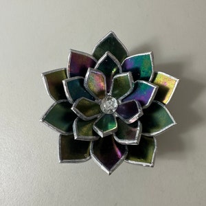 New Stained Glass Succulent