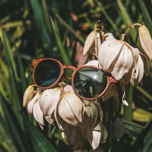 Stinson Red Burl - Wooden Sunglasses, Polarized sunglasses, Wood Sunglasses, Eco-friendly Sunglasses, Recycled and Sustainable Sunglasses